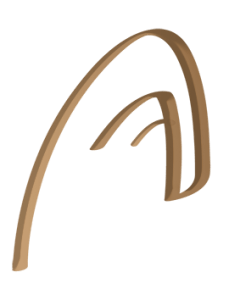 logo arcan 11