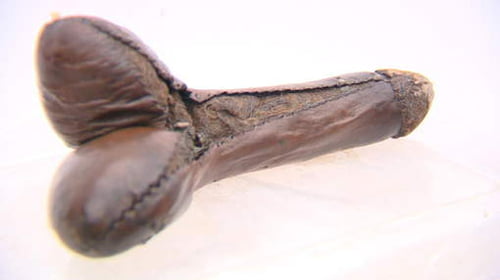 Godemichet en cuir rembourré de soies et daté du XVIIIe siècle Retrouvé à Gdansk en Pologne