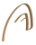 logo arcan 11