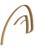 logo arcan 11